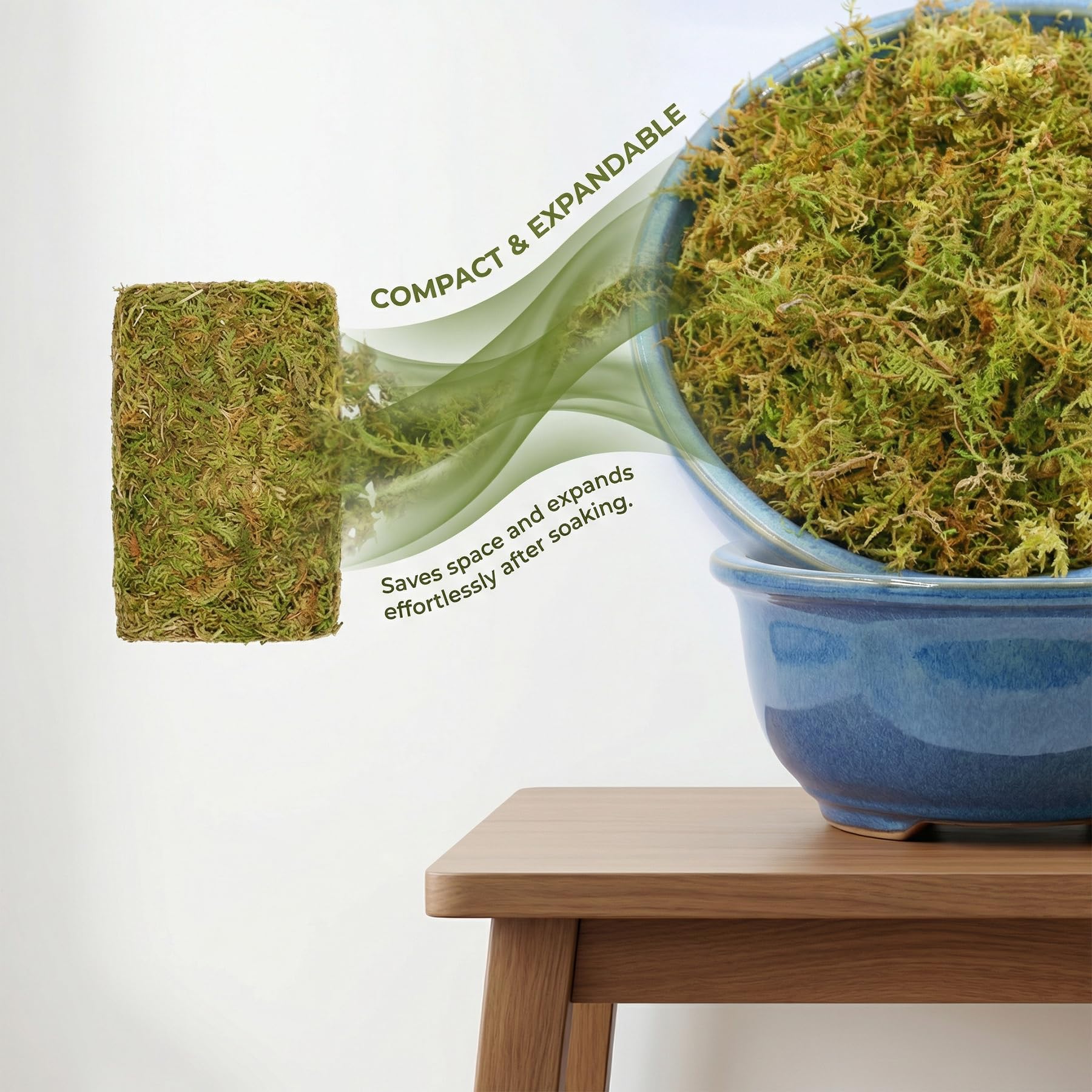 1,1 kg de mousse de sphaigne pour plantes, mousse d'orchidée à longues fibres pour plantes carnivores, terrariums et rempotage d'intérieur, briques de sphaigne compressées.
