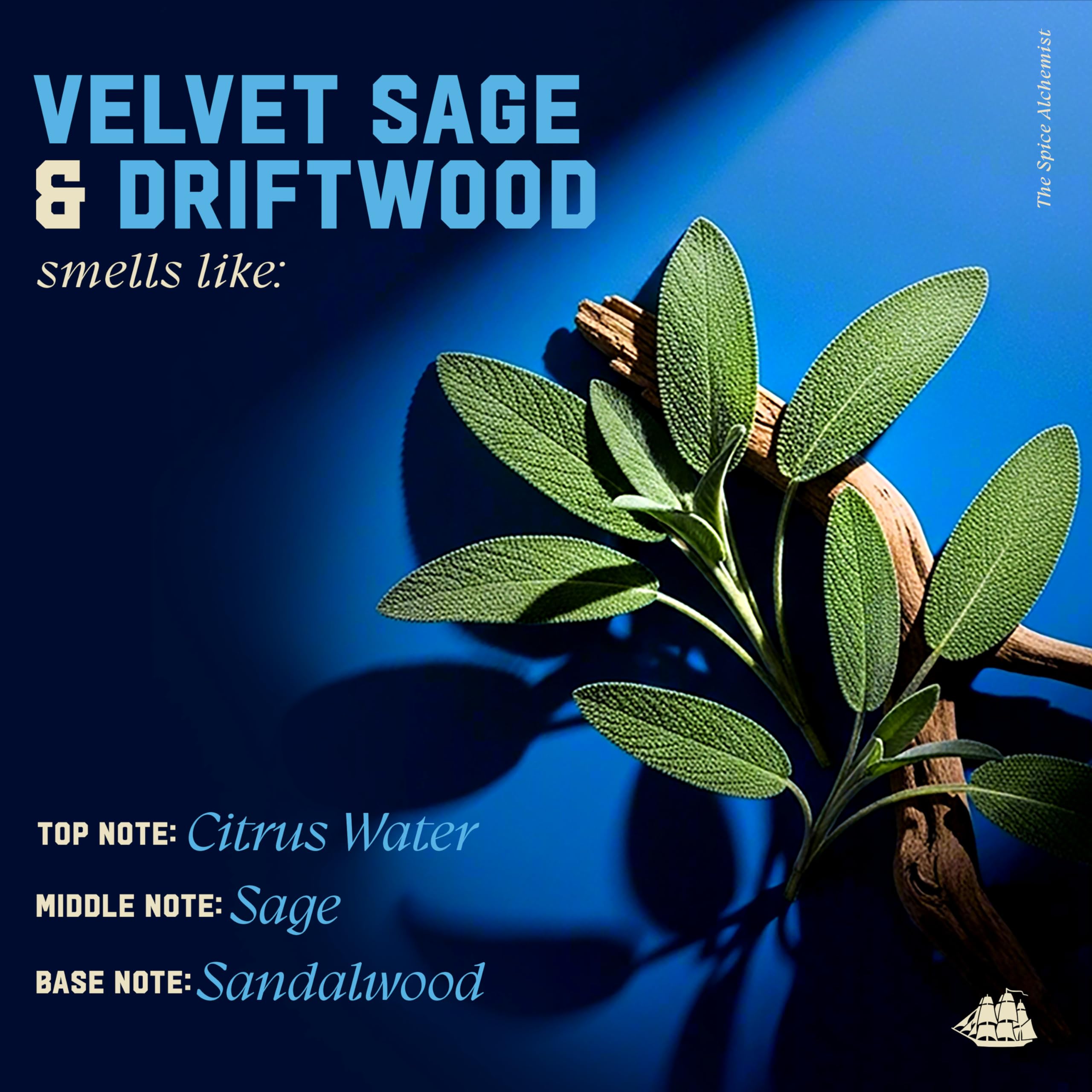 Old Spice Men's Shampoo, The Spice Alchemist Collection, 24/7 Cologne-Infused Velvet Sage & Driftwood Scent, Free of Parabens & Phthalates, 21.9 fl oz