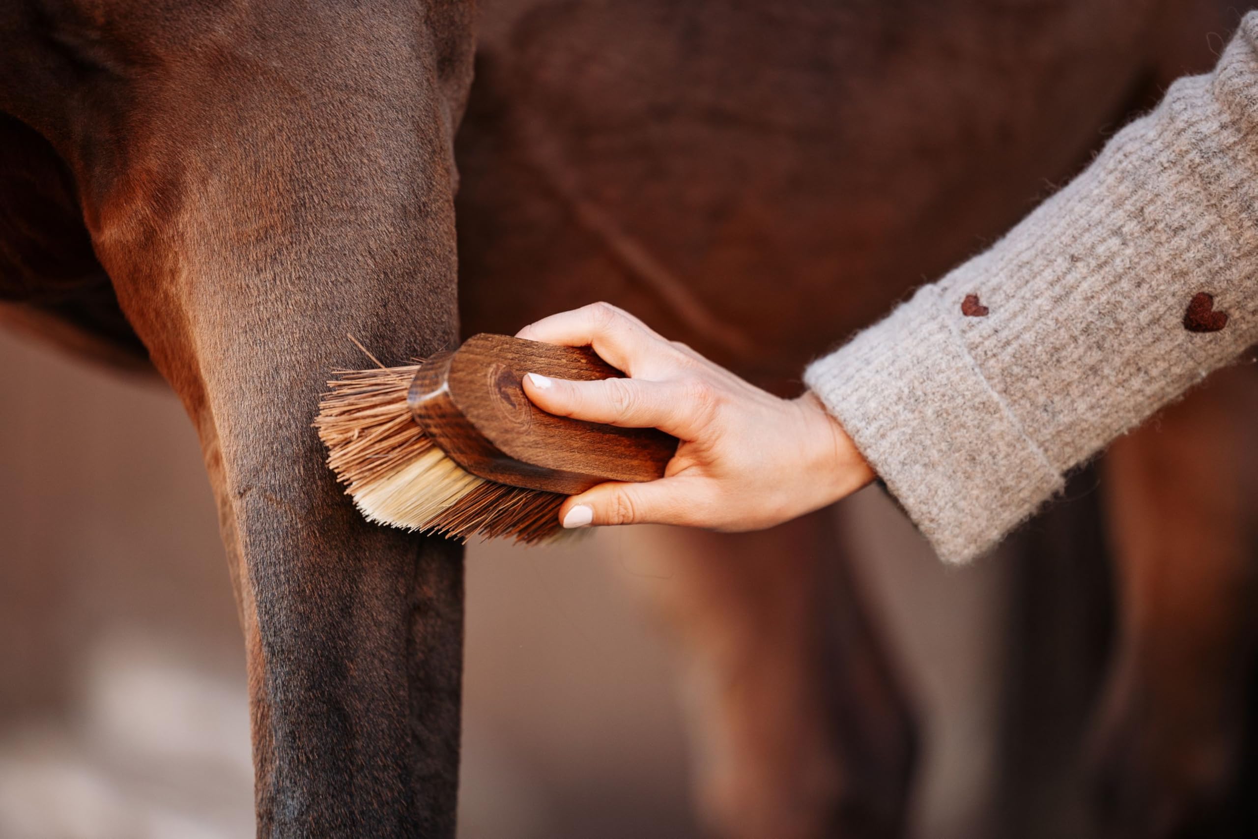 Cepillo duro para caballos – de madera con cerdas de coco y sisal | Limpieza profunda y natural del pelaje | Cepillo robusto para el cuidado diario y la rutina de grooming