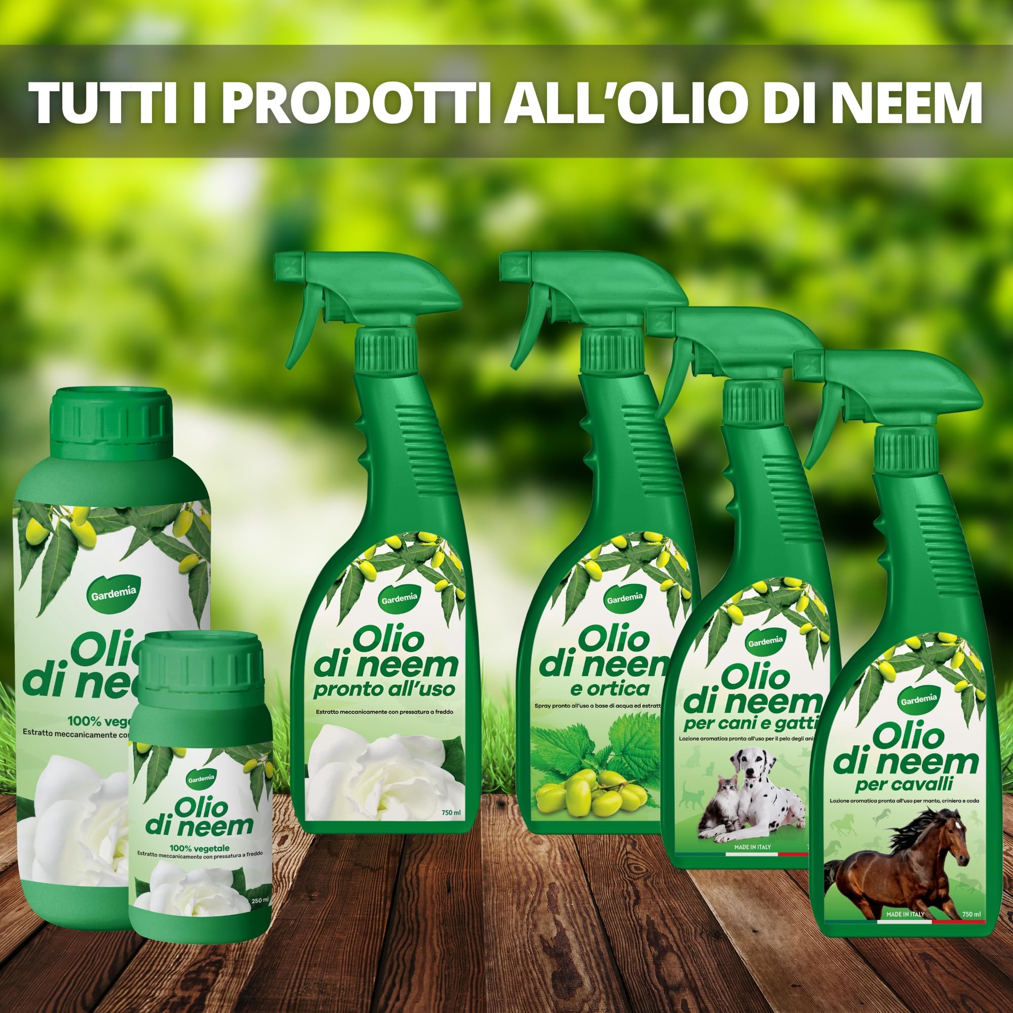 Gardemia Olio di Neem per Piante 1 Litro 100% Vegetale Azione Naturale contro varie Avversità Giardino Multiuso Concentrato Estratto Meccanicamente Pressatura Freddo Straordinarie Proprietà Naturali