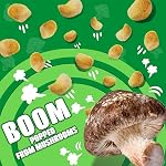 Real Naturals Shiitake Mushroom Chips, crème aigre et oignon, non GMO, Basse-Calorie, Vegan, 32g