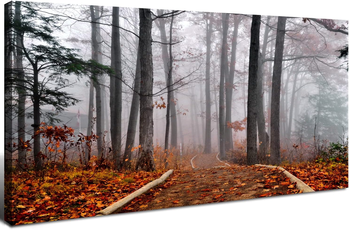 Forest Canvas Wall Art Fall Foggy Mountain Wall Decor for Living Room Autumn Landscape Pictures Prints Maple Leaf Misty Scenery Pathway Paintings Wilderness Photography Artwork Home Decorations 20x40” 20.00" x 40.00" Foggy Forest