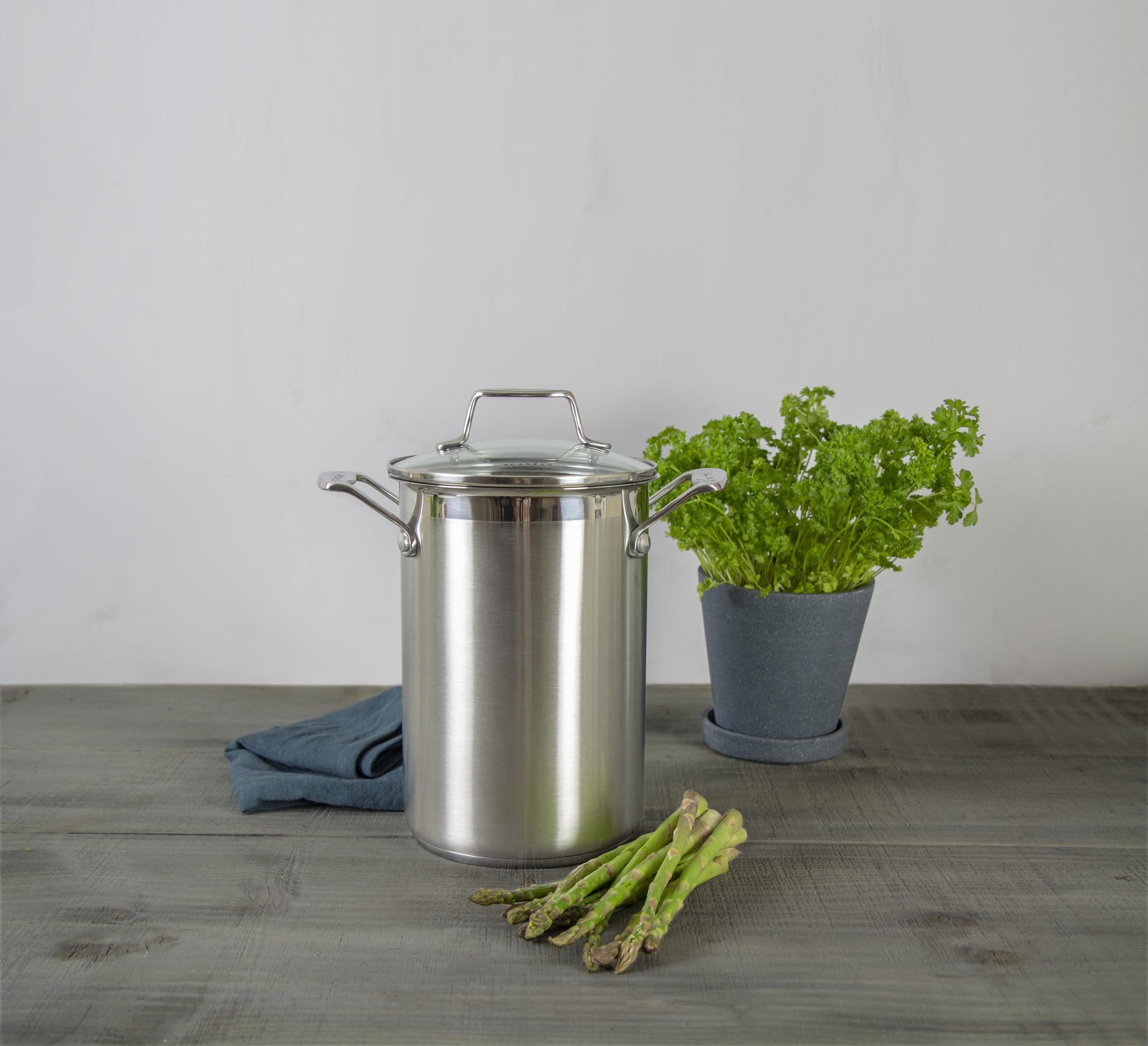 SCANPAN - Asparagiera con cestello, capienza 4,5 l