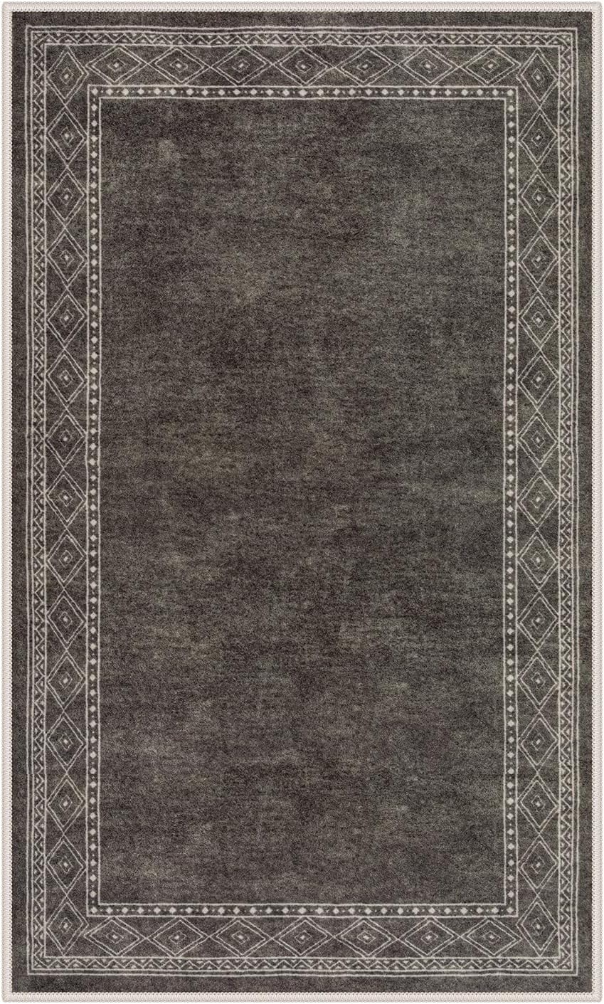 Lahome Modern Bordered Machine Washable Rug, Ultra-Thin Soft 3x5 Rugs for Entryway Bedroom, Non-Slip Stain Resistant Small Carpet for Laundry Entry（3'x 5',Brown