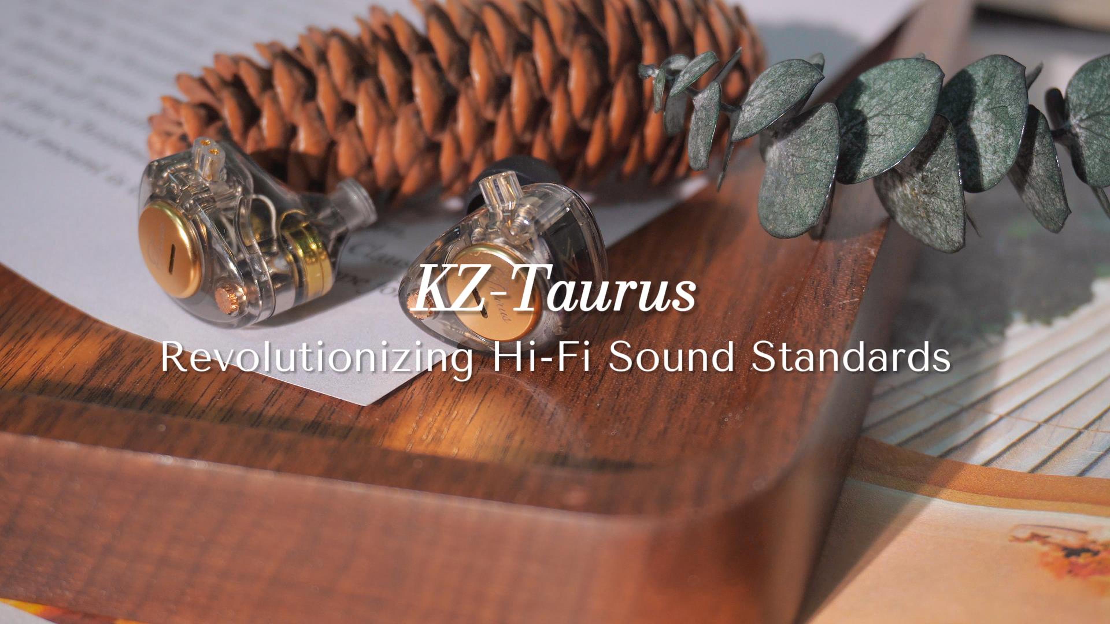 Amazon.com: KZ Taurus in Ear Monitor Headphones, Dual 8mm Dynamic
