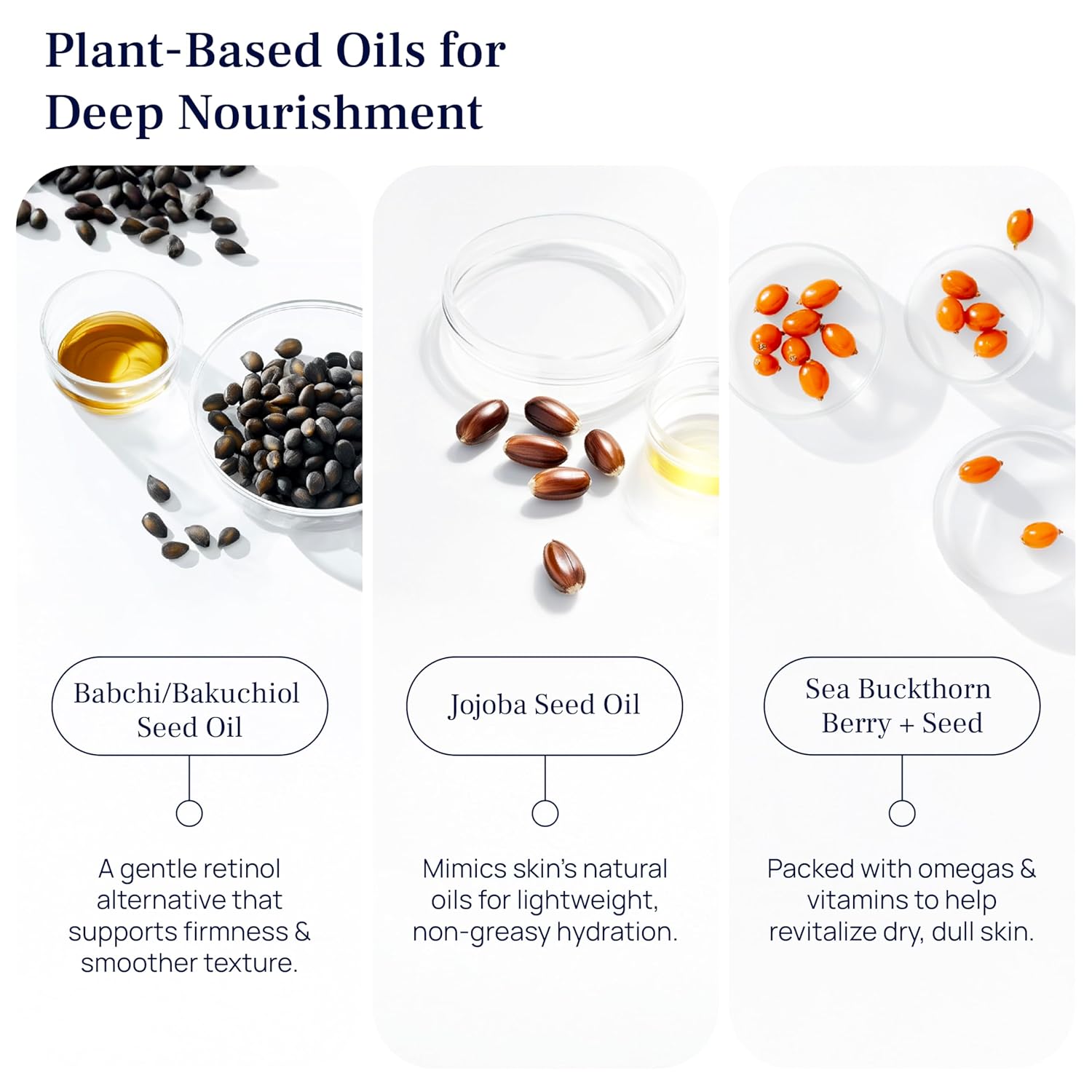 PUREANCE Organic Bakuchiol Plumping Serum - Bakuchiol for Face Skin and Wrinkles - Cellular Restore Serum - With Jojoba Oil, Sea Buckthorn, Camu Camu, Babchi, Maple Leaf Extracts & More - 1 Fl Oz - Image 8