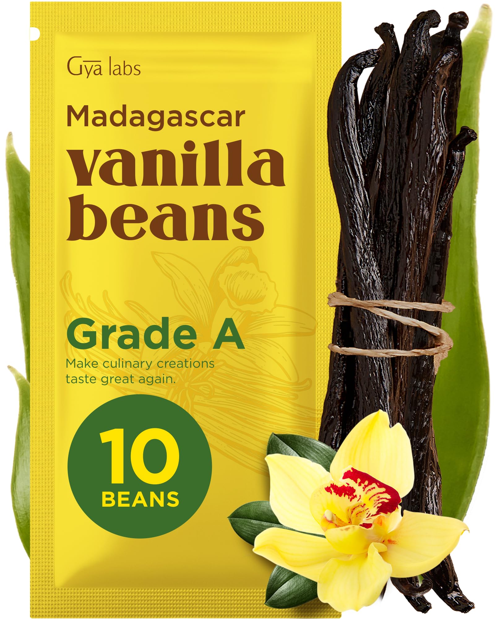 Gya Labs 10 Madagascar Vanilla Beans - Grade A 5-7 Inches Long, Caviar Rich & Flavorful Pods for Making Extract, Baking, Cooking, Paste & Coffee