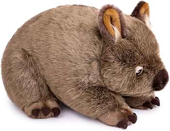 81fCuYqD0BL._AC_UF350,