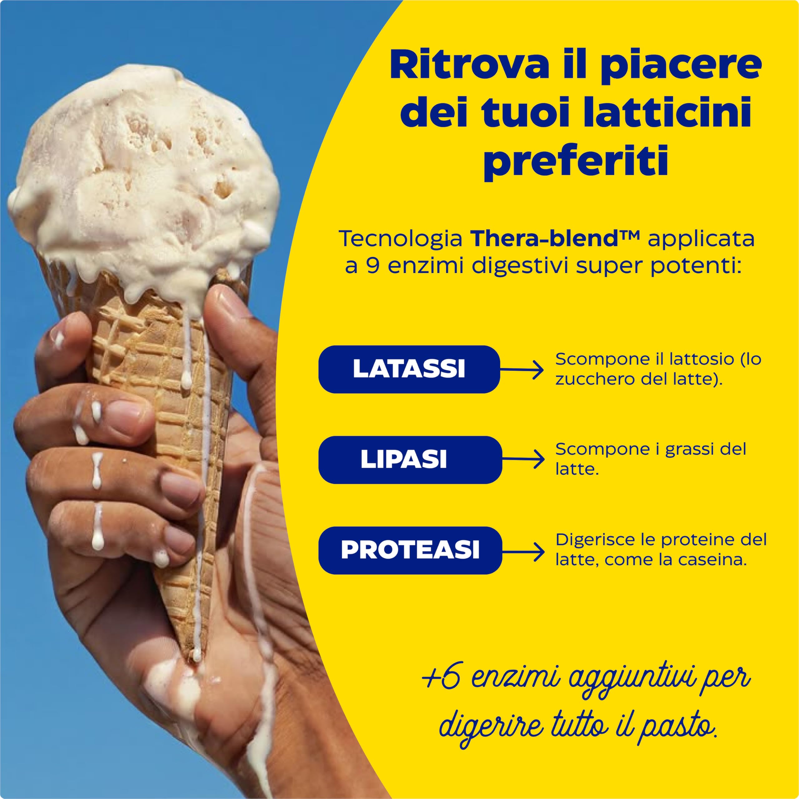 Enzymedica, Lacto, Integratore Alimentare a Base di Enzimi, Indicato per Intolleranza a Lattosio e Caseina, Contro Irregolarità e Gonfiore Addominale, Gluten Free, Senza Lattosio, Vegano, 90 Capsule
