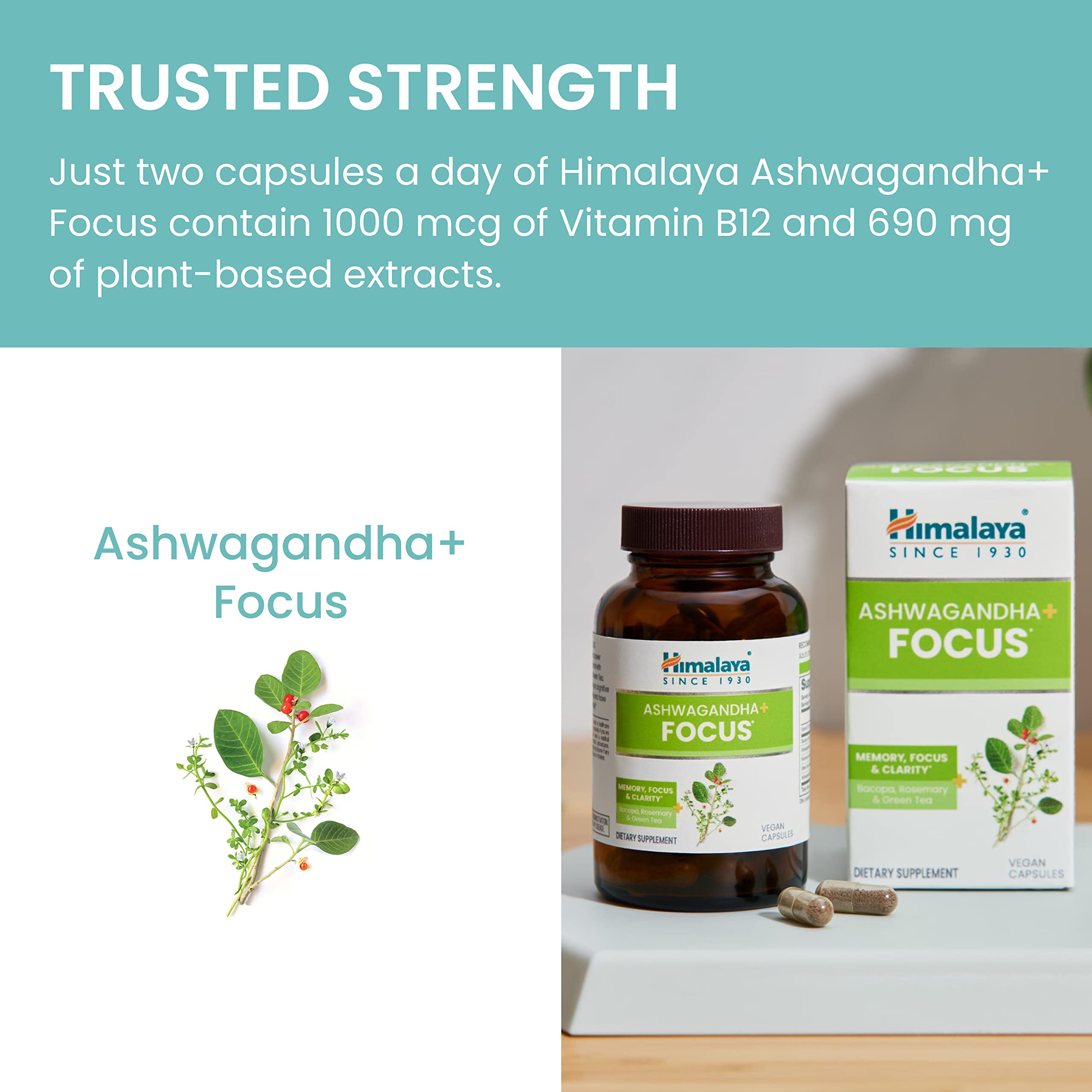 Himalaya Ashwagandha+ Focus - Herbal Focus Supplement with B12, Rosemary, Green Tea, and Bacopa Nootropics for Memory and Clarity - Vegan, Non-GMO, Gluten Free, 1690 mg, 60 Caplets — Amazon image 6