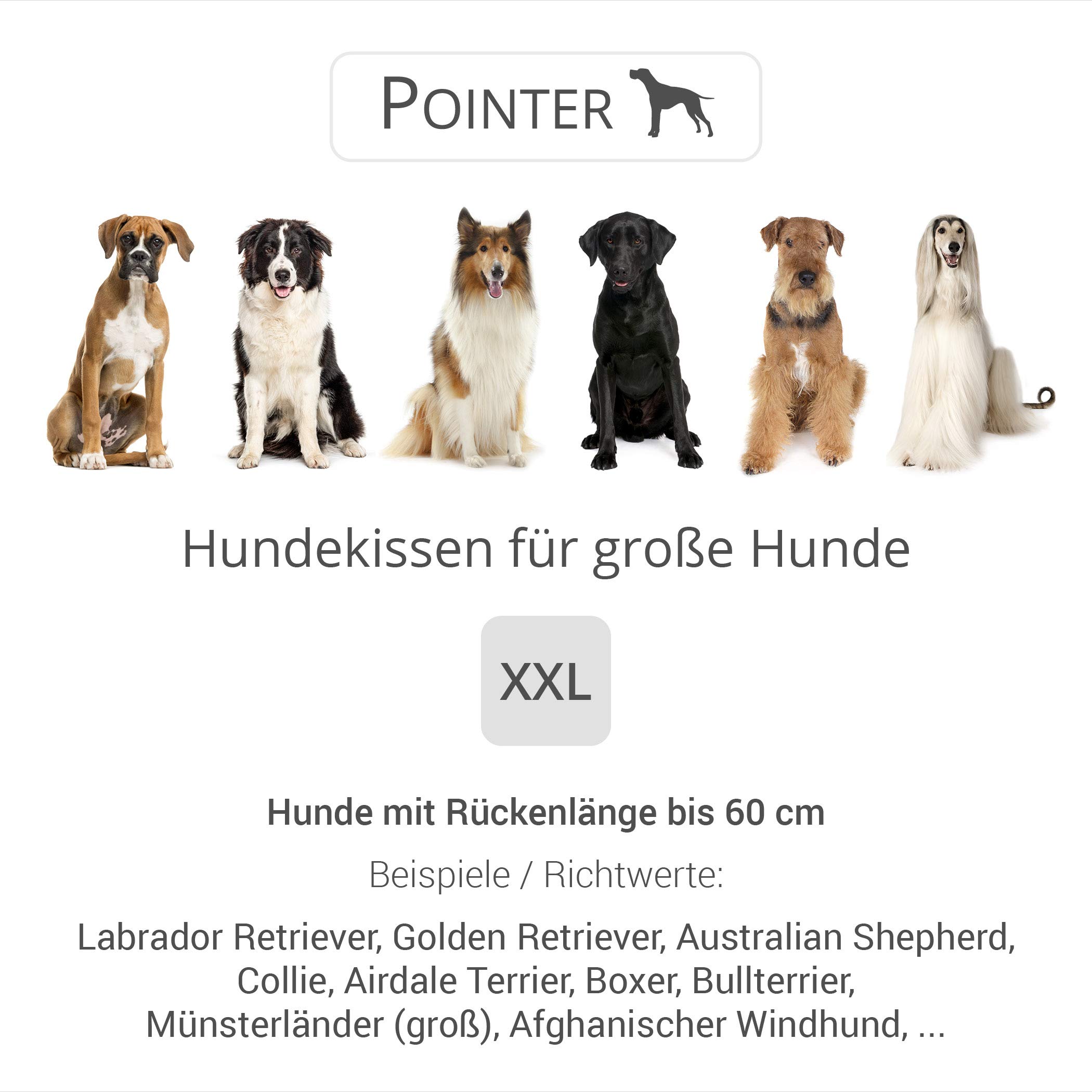 Pointer - Cuscino/Cuccia da Viaggio Urban per Cane, Morbido e Confortevole, Vari Formati e Colori, qualità Premium, Lavabile a 95 Gradi
