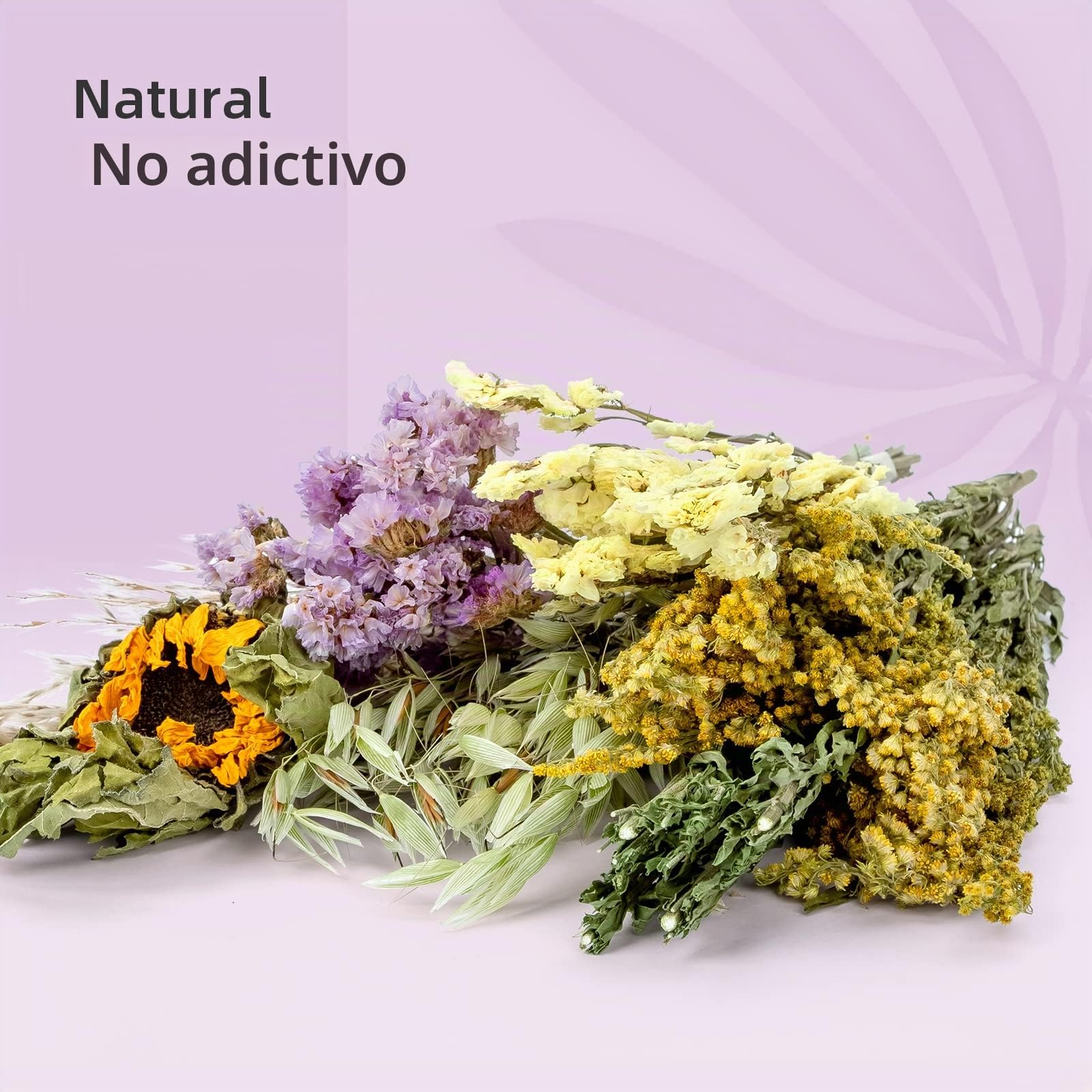 Niteangel Lecho Natural y Suave para Hámster: Decoración del Hábitat para Pequeños Animales como Hámsters Enanos Sirios, Gerbos, Ratones, Degús, Conejos u Otros Animales (Versión de Flores)