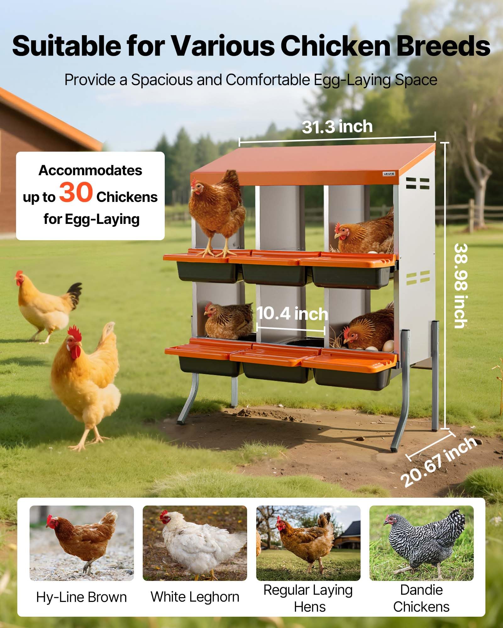 VEVOR Nido con Cassetto di Raccolta Uova per Galline, 6 Scomparti, Acciaio Zincato