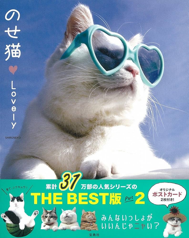 のせ猫 のせ猫 x お正月 2025 New Year cat 250101 - YouTube