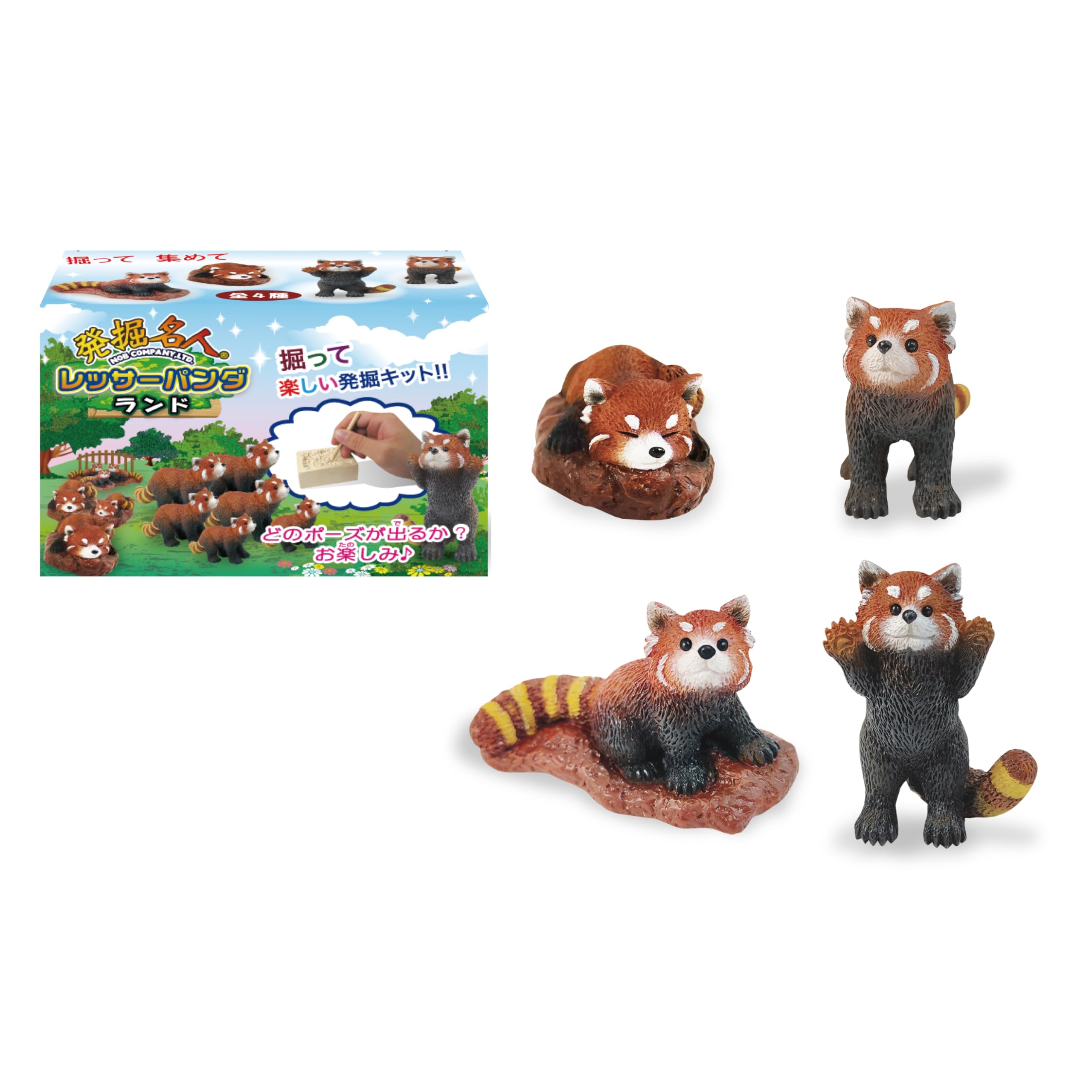 Amazon.co.jp: ノブカンパニー 発掘名人レッサーパンダランド 4種