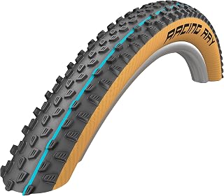 Schwalbe Racing Ray Schlangenhaut TL Easy Addix Speedgrip vorne