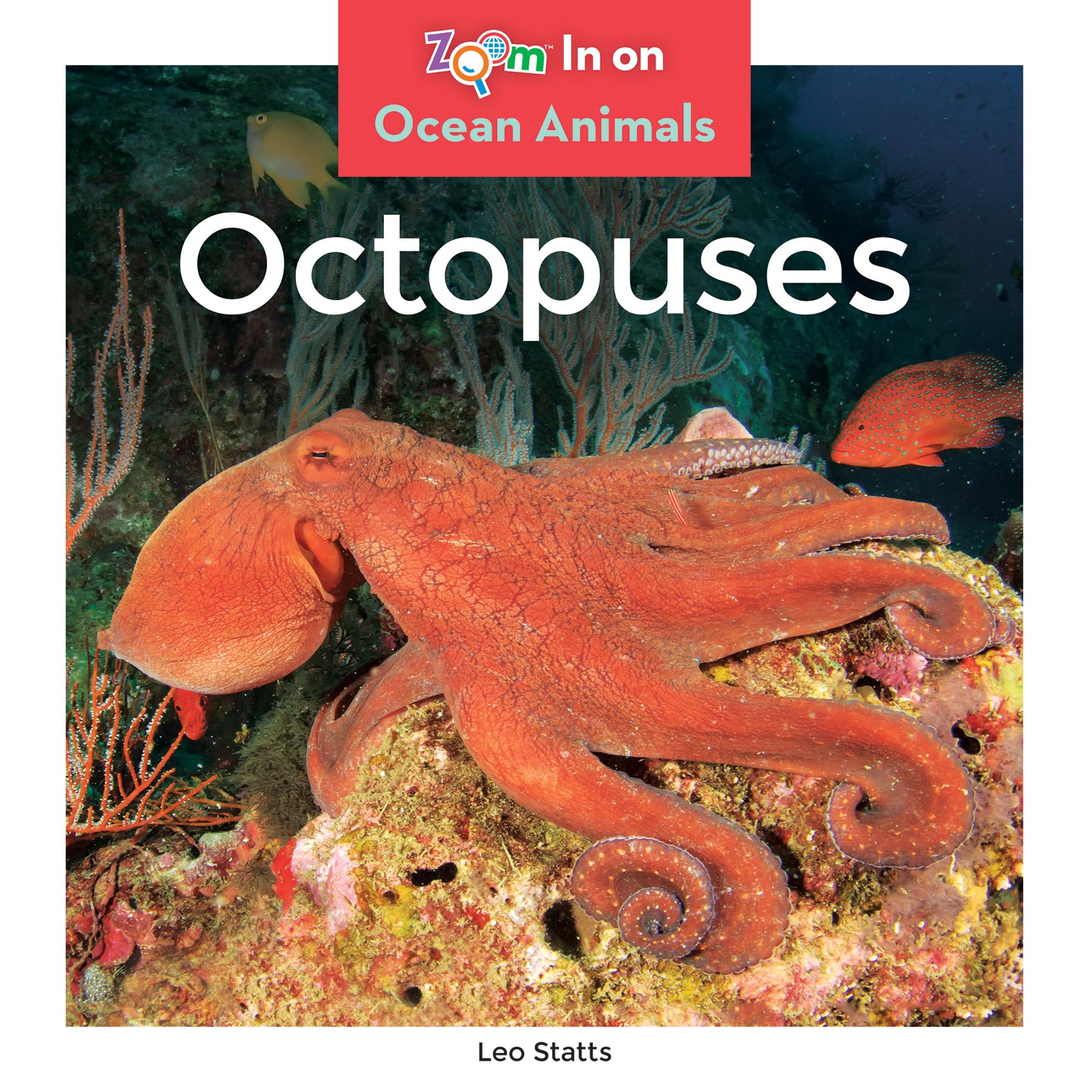 Octopuses