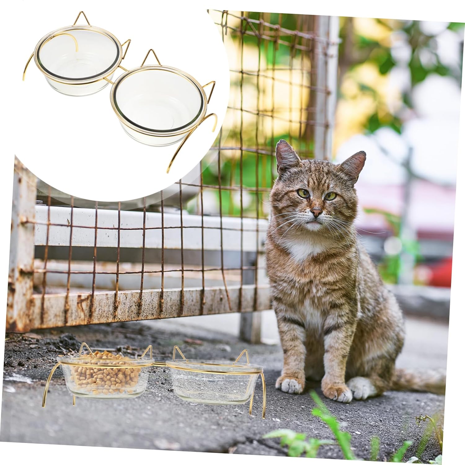 Kisangel Elevated Cat Bowl High Base for Easy Feeding and Drinking Reduces Cat Dining Needs