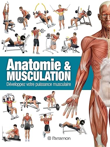 Anatomie &amp; musculation : Développez votre puissance musculaire