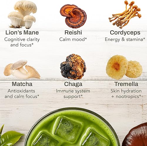 Miniatura 5 de Matcha de hongos, té ceremonial japonés infundido con 7 hongos superalimentos, aceite MCT, leche de coco en polvo, matcha último de gran sabor, 3.52