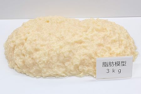 体脂肪模型 3キロ