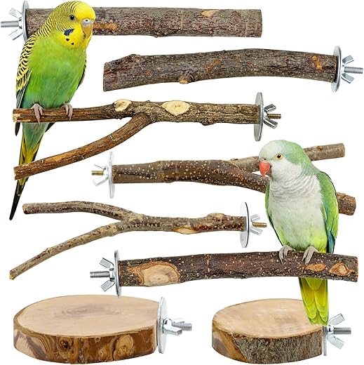 Bird Supplies