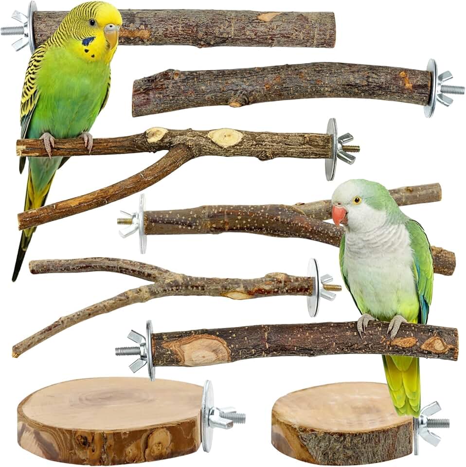 8 PCS Bird Perch Set for Cage - Natural Apple Wood Platforms & Hardwood Branches for Parakeets, Budgies, Cockatiels - Small Bird H
