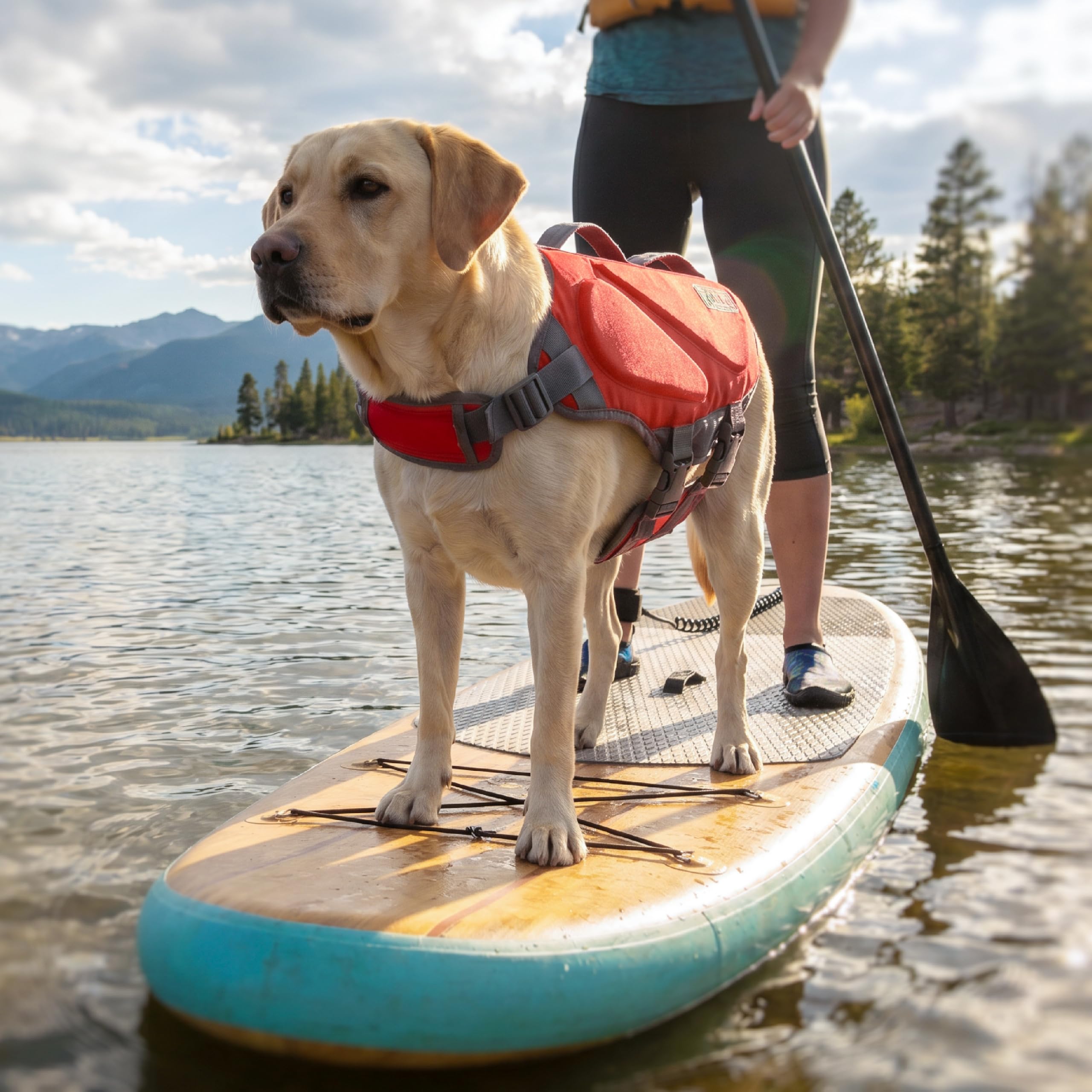 Outward Hound Dawson Swim – Gilet de Sauvetage pour Chiens, Rouge, Taille L