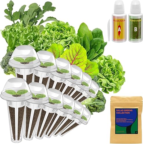 inbloom Kit de vainas de semillas verdes para sistema de cultivo hidropónico, 12 cápsulas (más de 350 semillas con lechuga American FastParis