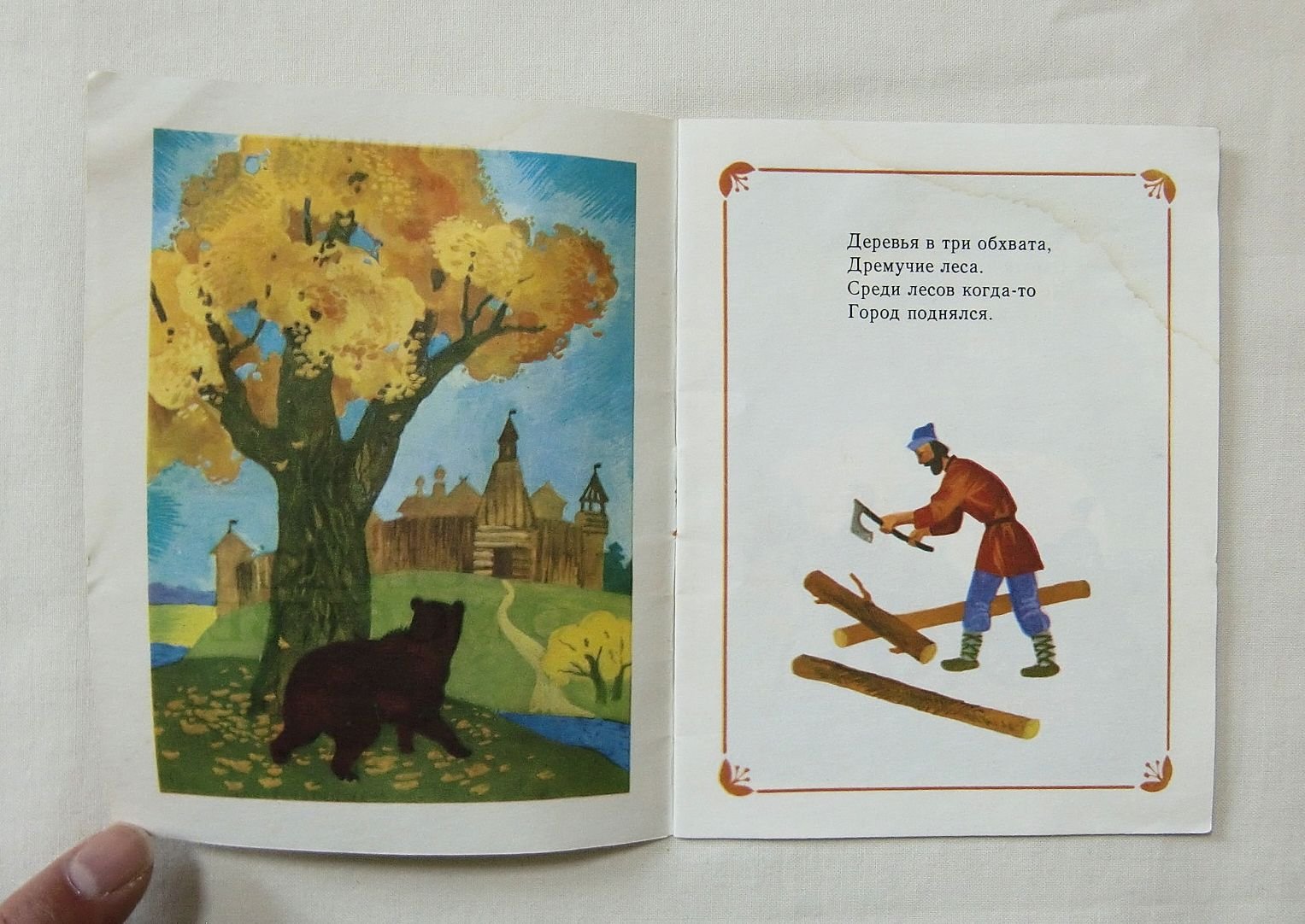 Amazon.co.jp: 【お城 ＊ロシア語の為、タイトル表記不可】 ロシア 