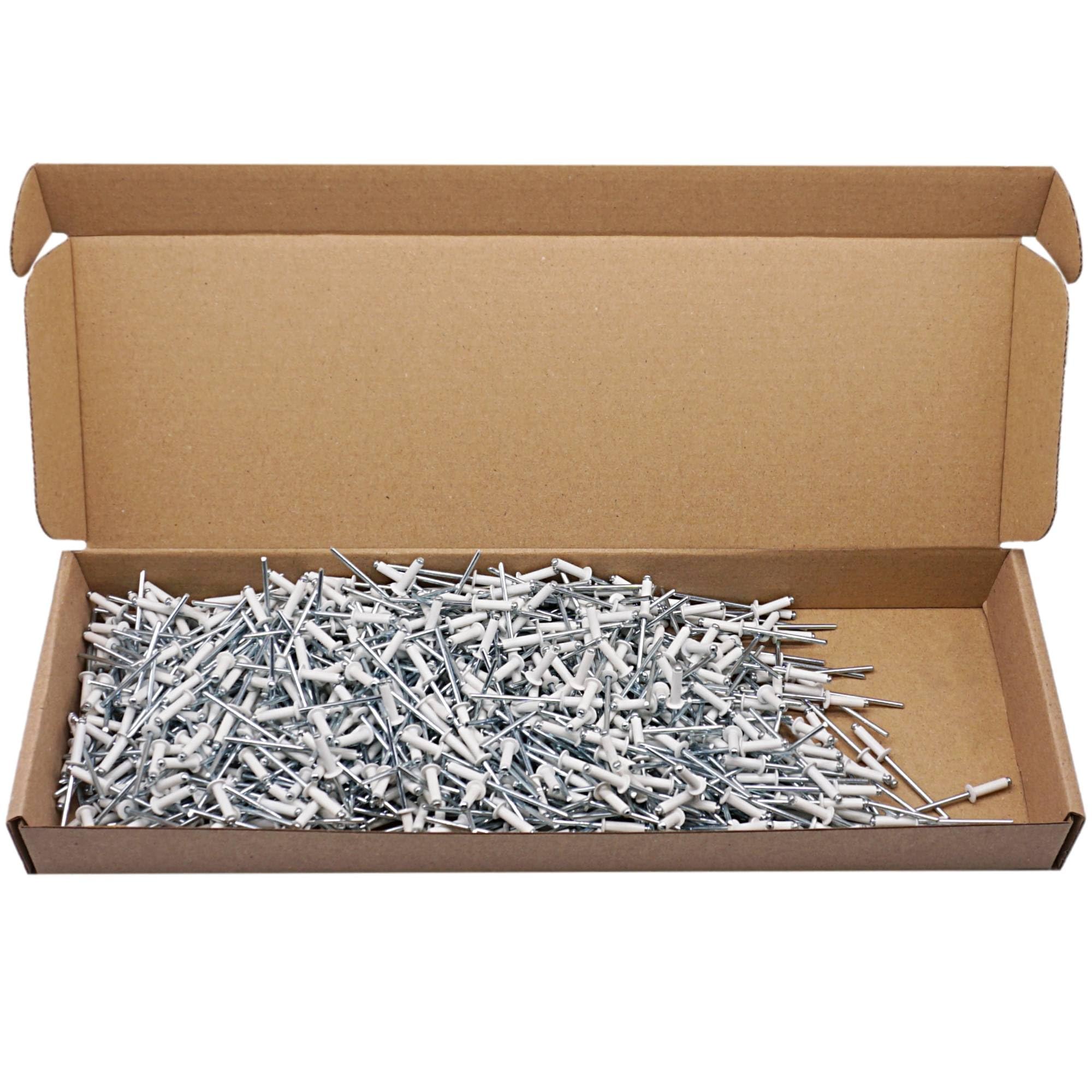 SKIR'CO Lot de 700 rivets aveugles peints 3,2 x 12 mm en aluminium DIN 7337 Tête bombée Mandrin en acier Rivets pop Blanc pur RAL 9010