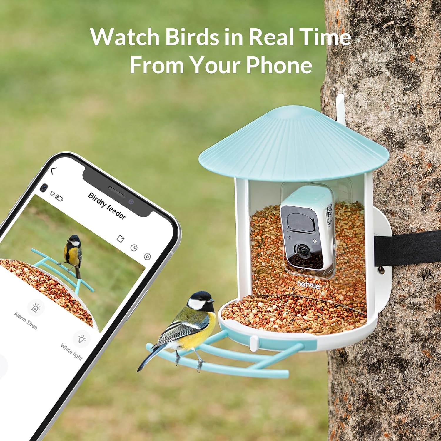 NETVUE Birdfy Lite - Smart Bird Feeder with Camera, Bird Watching Camera, Auto Capture Bird Videos & Motion Detection, Wireless Camera Ideal Gift for Bird Lover