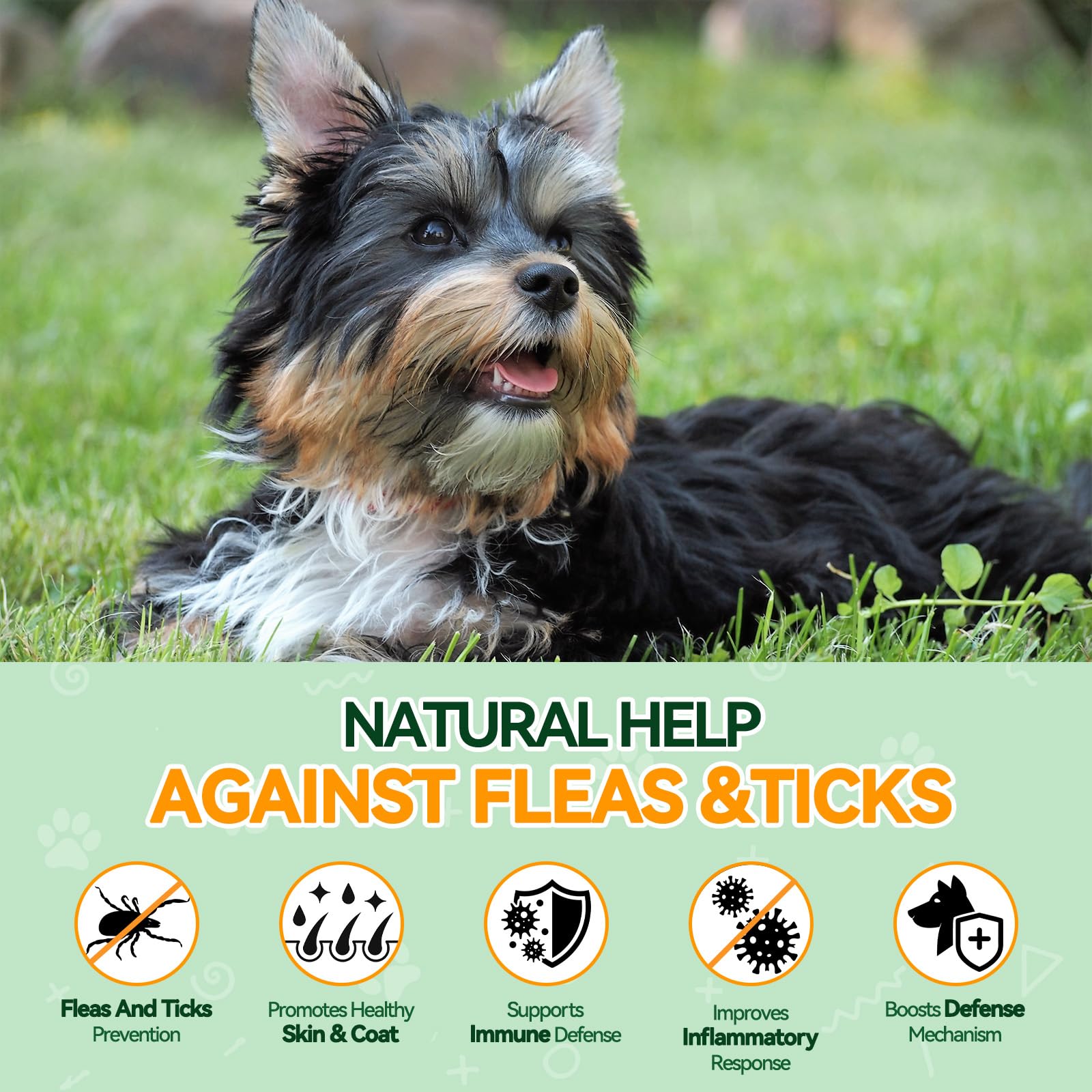 Carmelie Flea and Tick Chewables for Dogs, 200 Chews Natural Dog Flea and Tick Support - Image 2