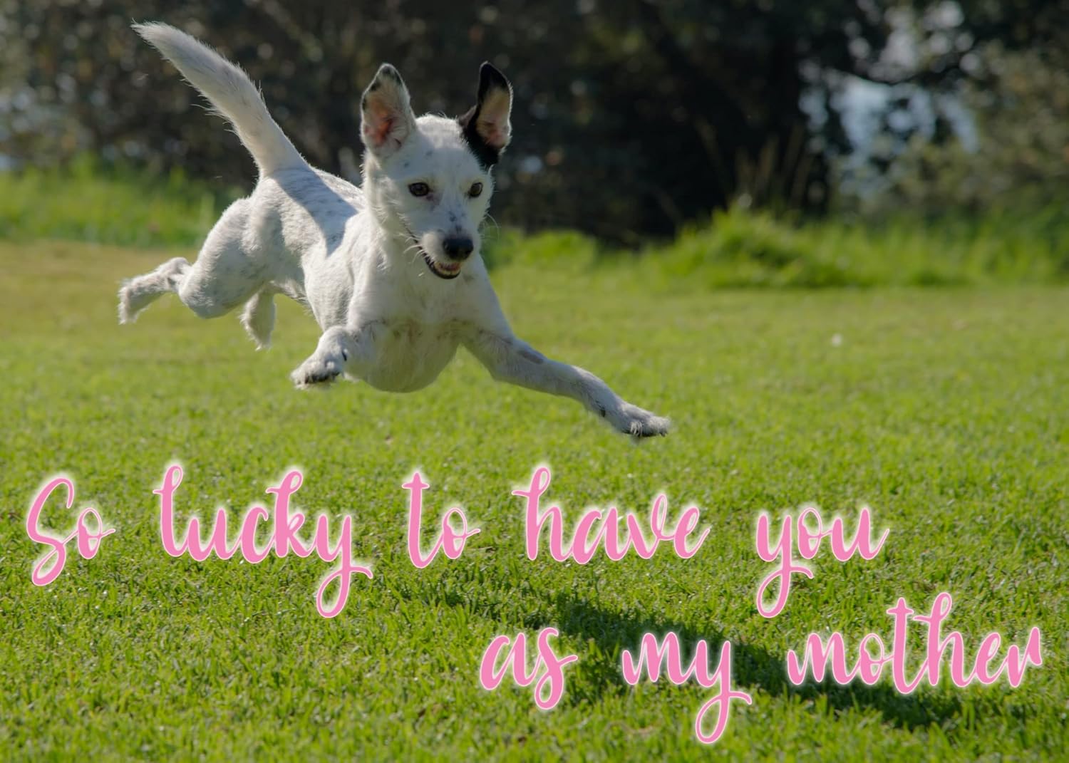 So Lucky To Have You As My Mother Mother's Day Greeting Card