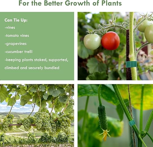 Miniatura 6 de Plant Ties - Cinta verde para plantas de jardín, 0.57 pulgadas de ancho, reutilizable, ajustable, correa de jardinería, soporte para plantas de