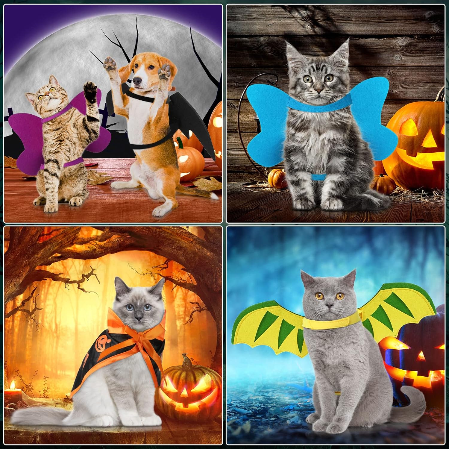 JaGely 8 Pieces Halloween Pet Costume Set 4 Colorful Cat Dog Butterfly Cloak 1 Bat Wings 1 Dinosaur Wings 1 Vampire Cloak 1 Pumpkin Cape for Halloween Party Decoration Cosplay Dress up Accessories