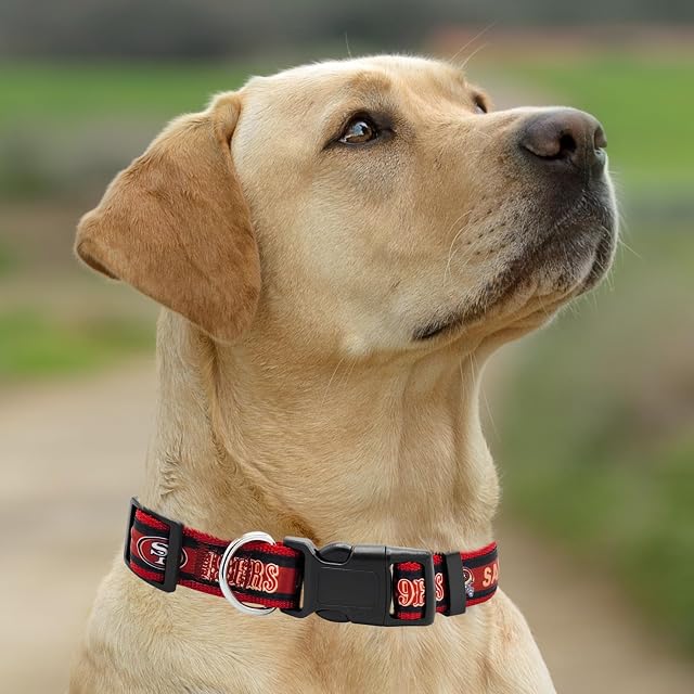 Foto 5 de 6 de Pets First NFL Collar de Perro. 32 NFL Equipos Disponible en 4 tamaños. Resistente