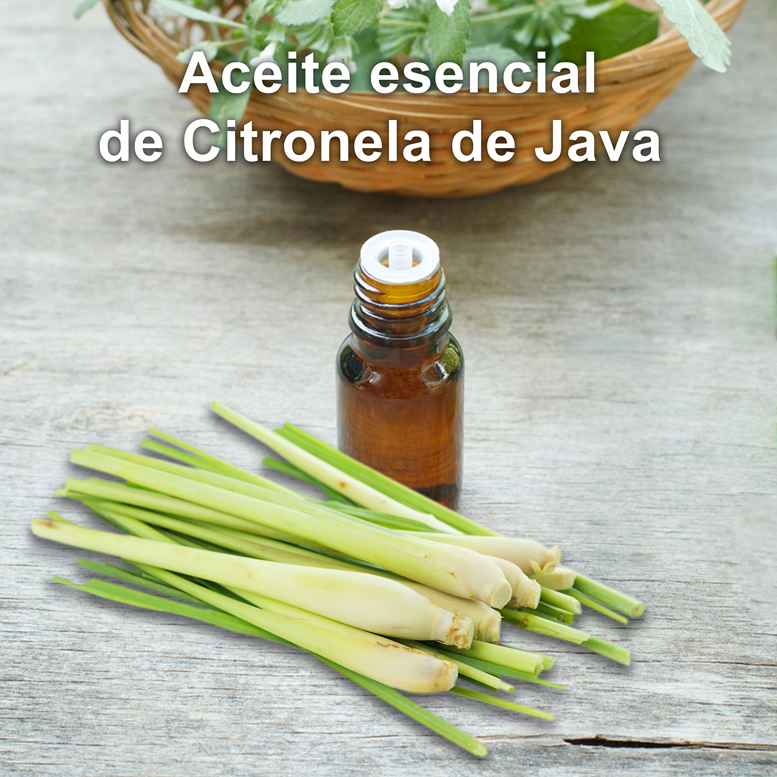 PLASTIMEA - Aceite Esencial Puro 100% Natural y Bio, Repelente Insectos Anti mosquitos, Fabricado en Francia Natural Insectos, Aroma Citronela de Java, 30 ml