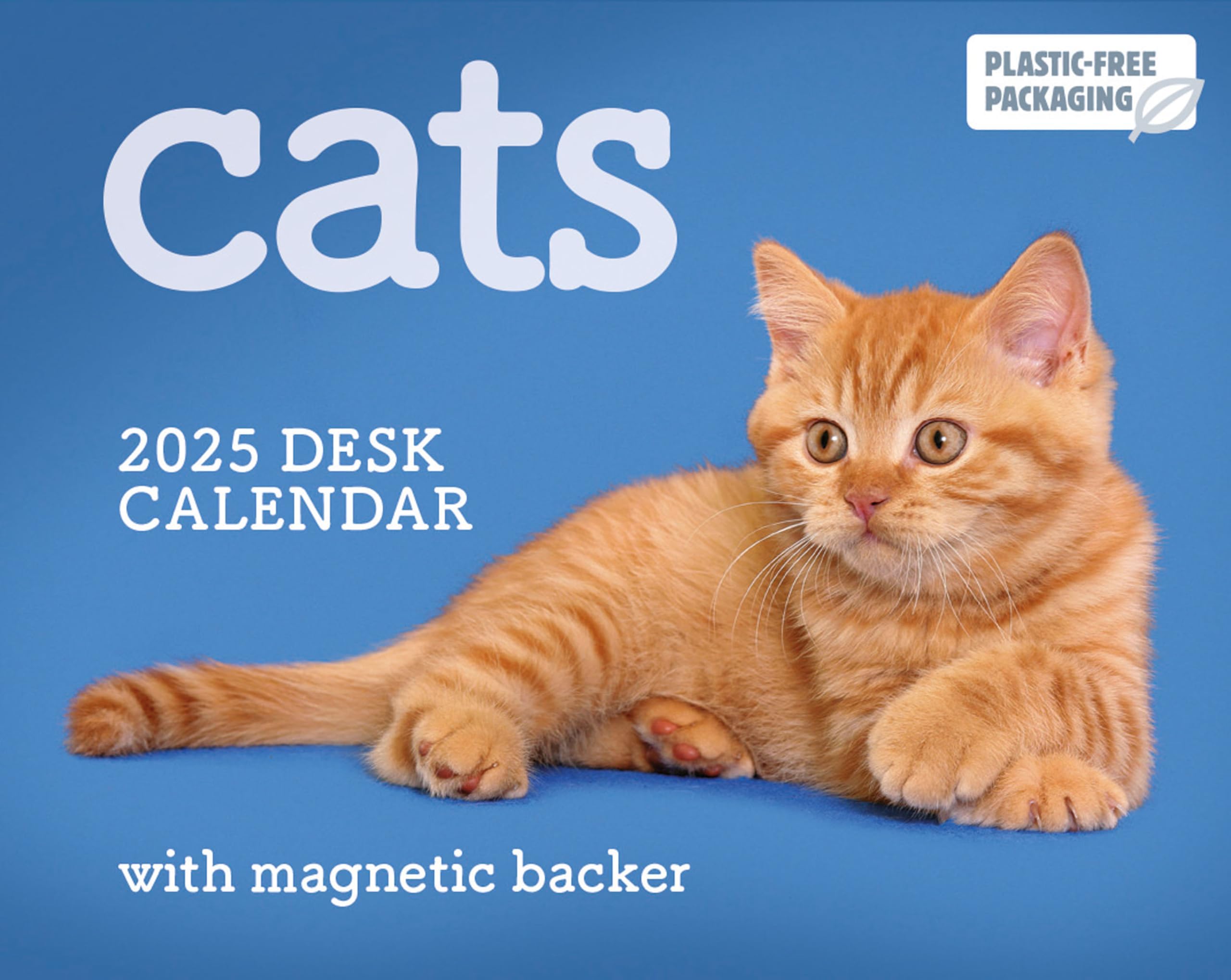 2025 Cats Mini Boxed Calendar: Plastic Free Packaging Calendar – Day to Day Calendar, September 20, 2024