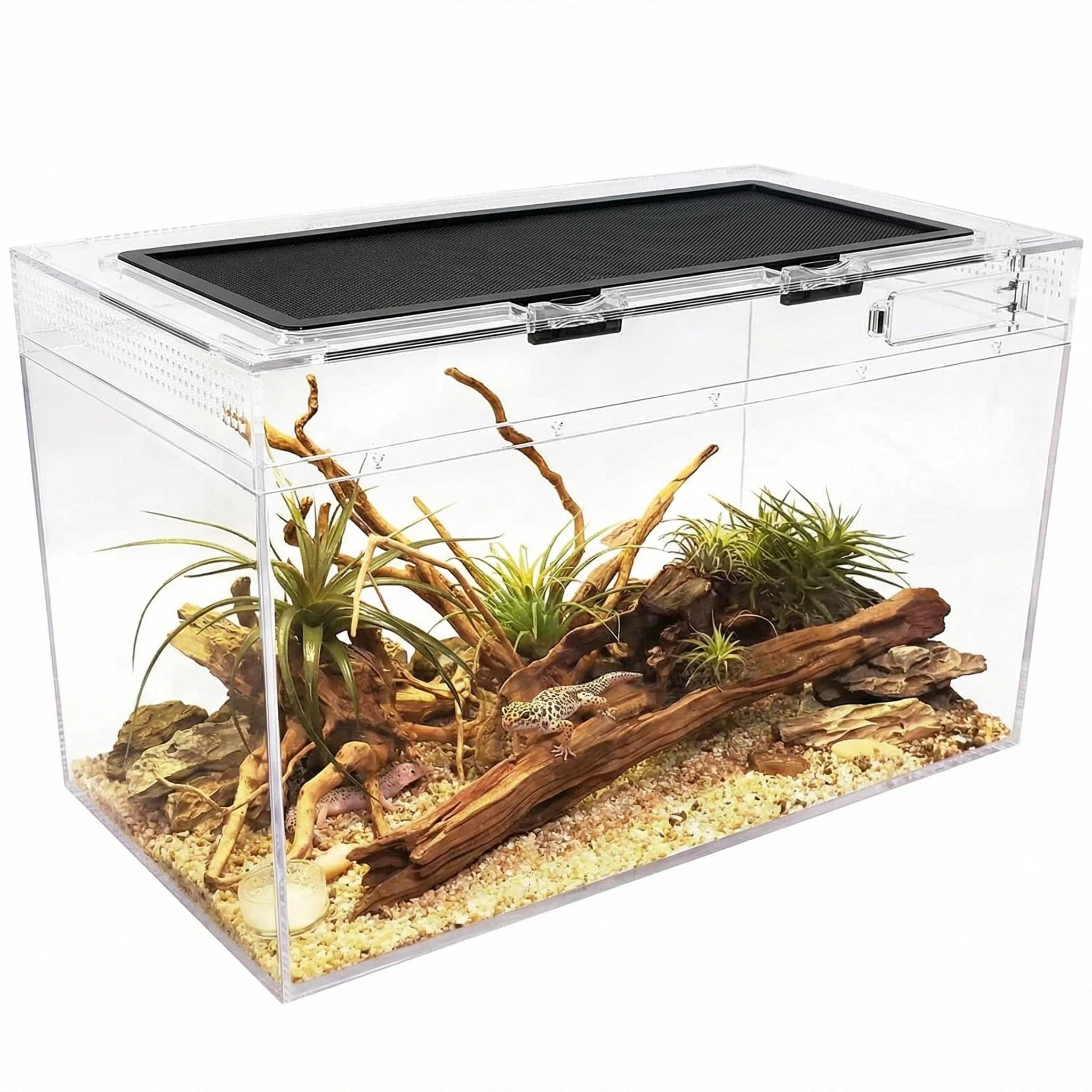 360° View Reptile Terrarium Kit, Reptile Tank,50 * 25 * 27cm Jumping Spider Enclosure Starter Kit, Leopard Gecko Habitat Container for Gecko Hermit Crab Bearded Dragon Lizard (20" x 10"x 11")