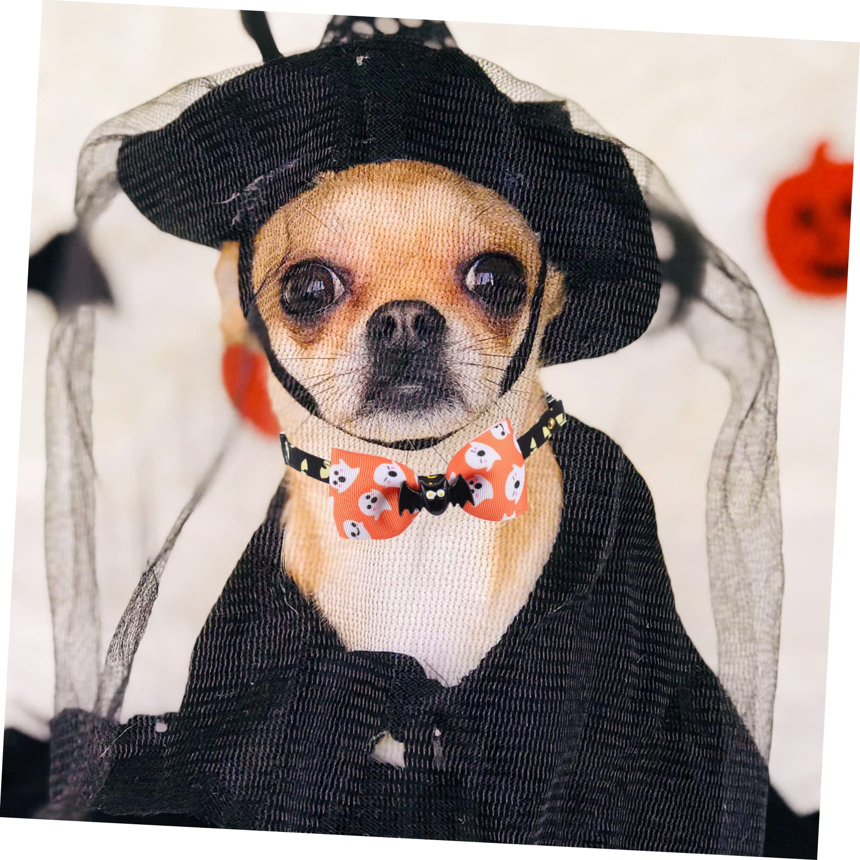 SUPVOX 10pezzi Per Decorativi Con Per Halloween Regolabili Per Gattini Con Design Speciali e