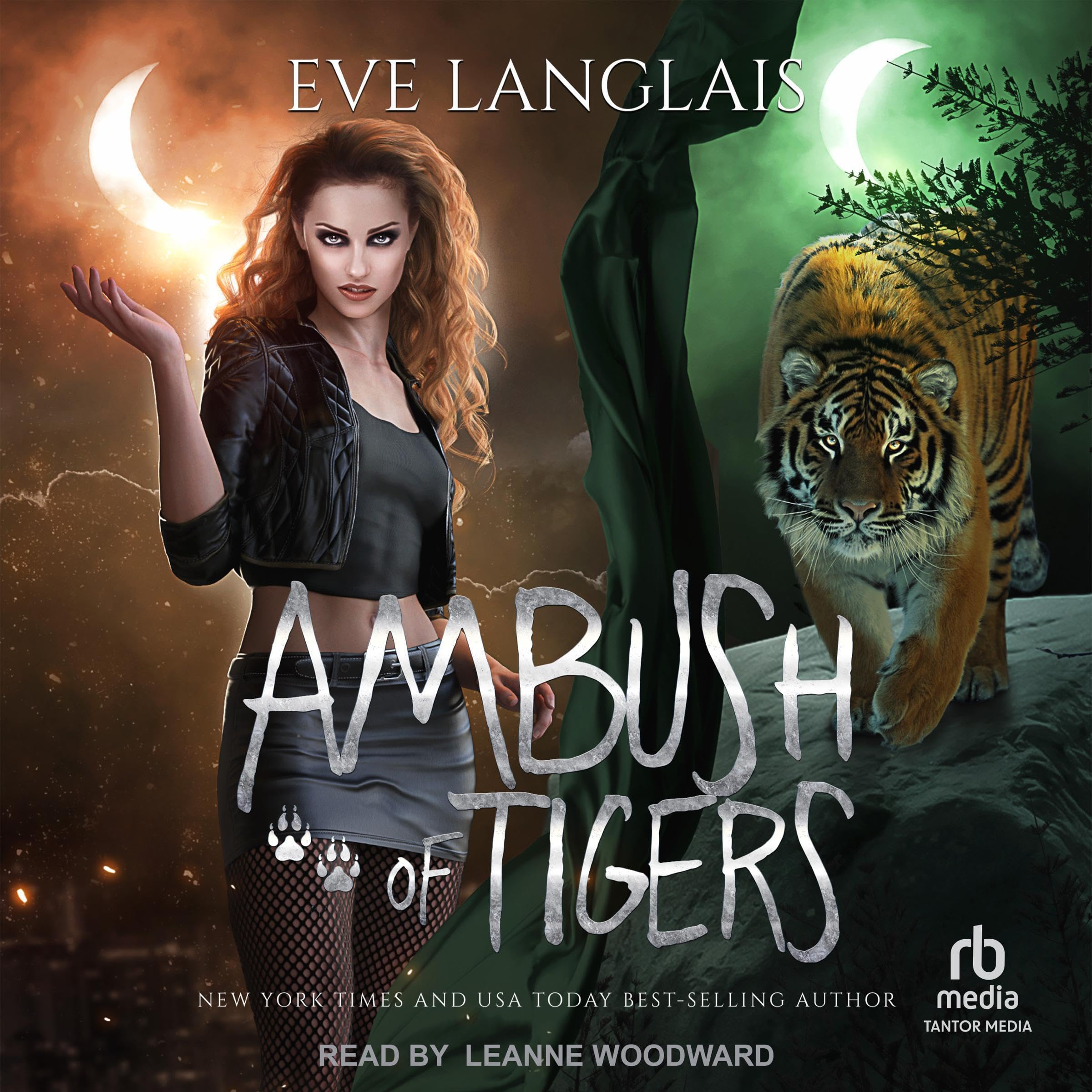Cover art for Ambush of Tigers