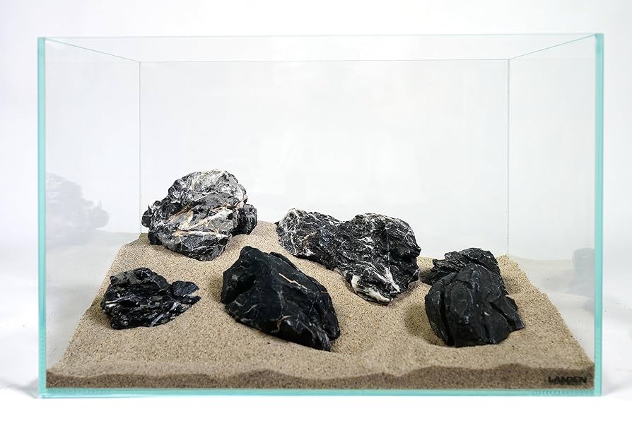 アークデラセルナ　４枚4 アークデラセルナ 4枚4 アークデラセルナ 4枚4 Z/X カードリスト -