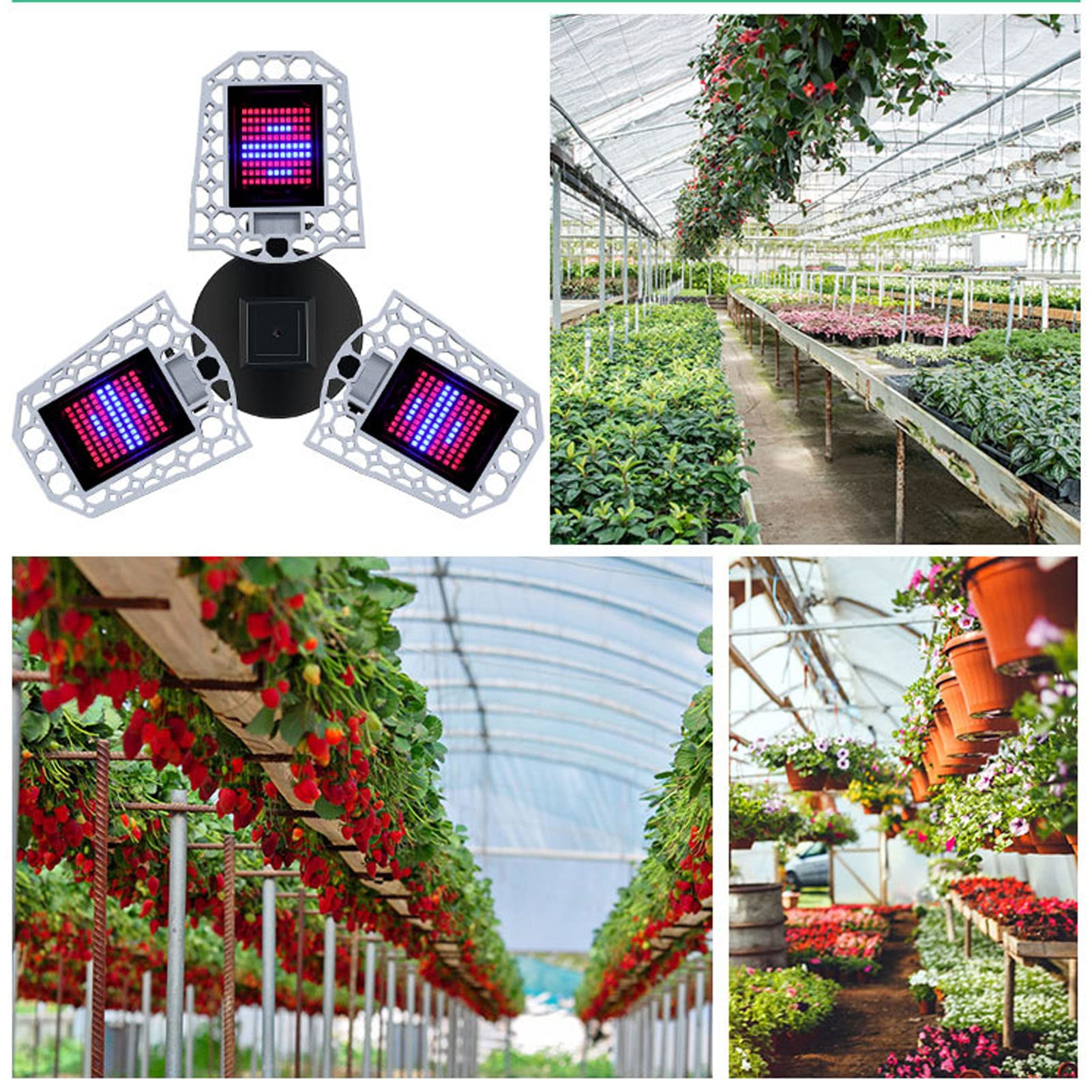 TANM Luz para Plantas de Interior, Luz para Cultivo de Plantas 240 LED a Prueba de Agua para Suculentas