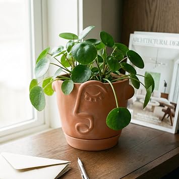 HERDUK 6 Inch Terracotta Abstract Face Planter with Drainage & Saucer Artistic Ceramic Flower Pot for Indoor Plants, Boho Home Decor, Unique Gift for Plant & Art Lovers