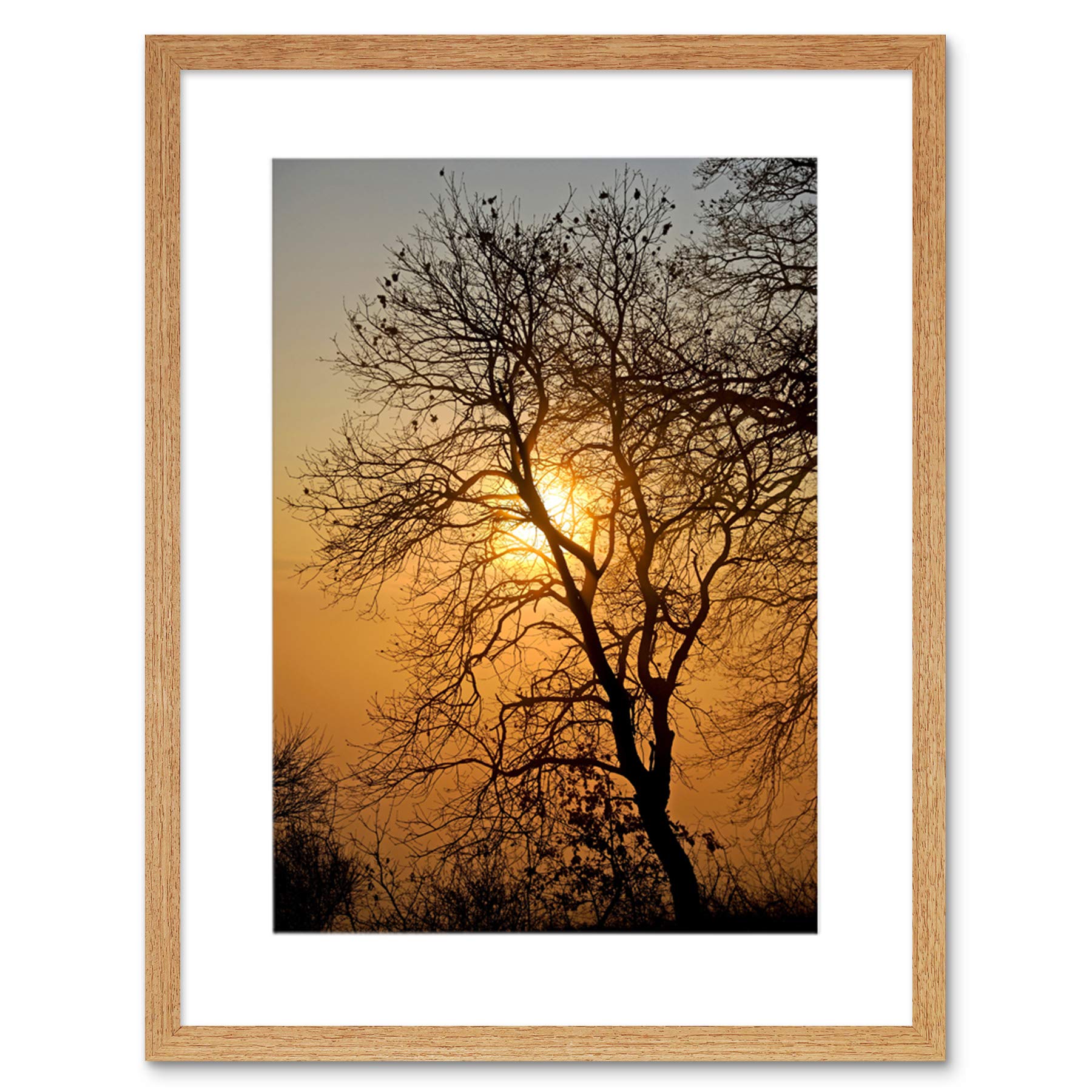 Wee Blue Coo Sunrise Backlight Silhouette Tree Art Picture Framed Wall Art Print