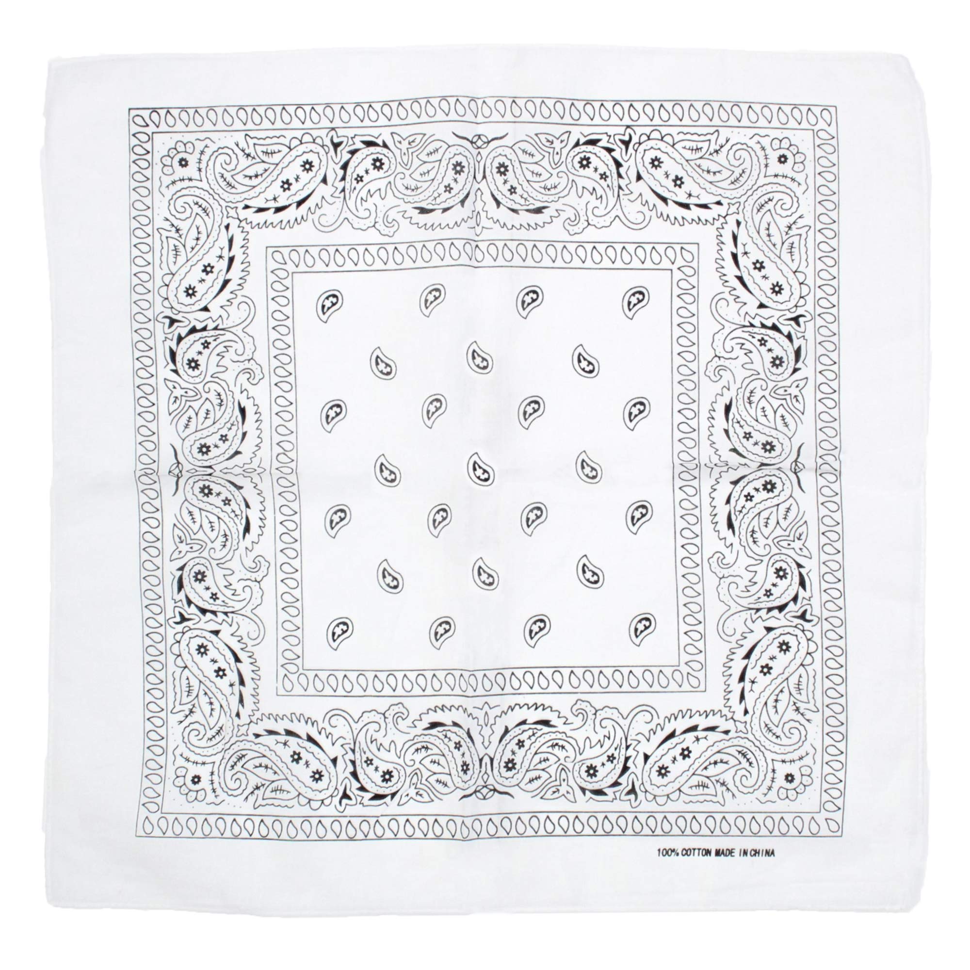 Zac's Alter Ego Retro Vintage Style Cowboy Paisley Bandana/Neckerchief/Durag