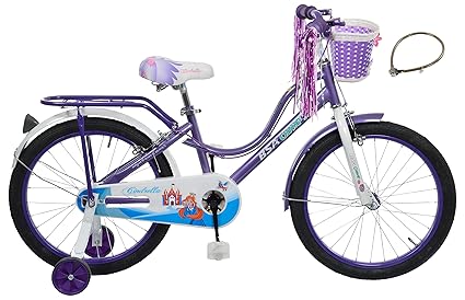 Bsa Aluminum-Alloy Cinfrella20 20T Single Speed Cycle Frame (Purple)