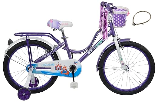 Bsa Aluminum-Alloy Cinfrella20 20T Single Speed Cycle Frame (Purple)