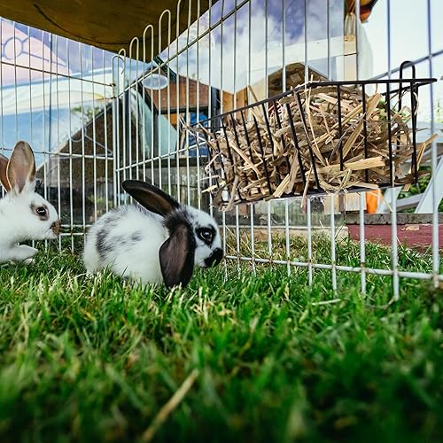 Vista 12 de Therwen 4 unidades de alimentador de heno para conejos, estante de metal resistente con ganchos, soporte para colgar heno para conejito